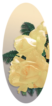 Bouquet Of Roses Yellow